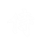 Samurai Concept